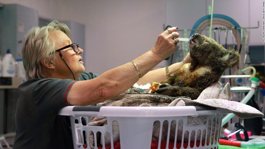 An injured koala receives treatment after its rescue from a bushfire at the Port Macquarie Koala Hospital on November 19. The hospital said the fires have &quot;decimated&quot; the area, which is a key habitat and breeding ground for the marsupials. More than &lt;a href=&quot;https://www.cnn.com/2019/10/30/australia/koala-fires-australia-intl-scli/index.html&quot; target=&quot;_blank&quot;&gt;350 koalas are feared to have been killed&lt;/a&gt; by bushfires in NSW, according to animal experts.