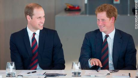 Prince William and Harry in 2014