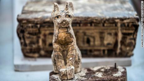 Egypt hails rare find of mummified lion cubs, cats and crocodiles