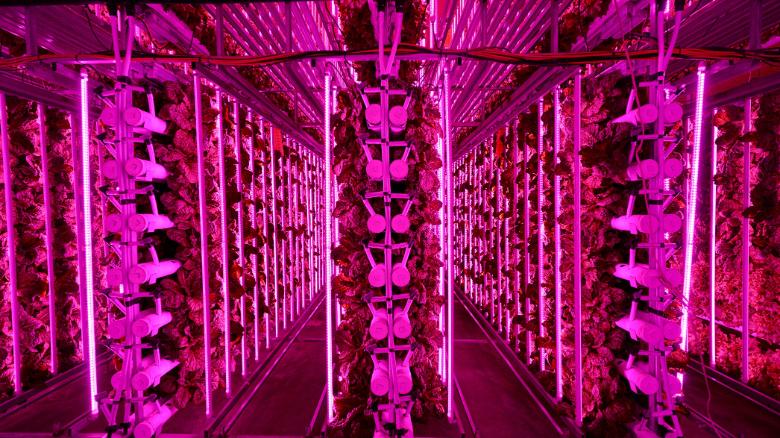 Vertical Farm Is Growing Food Deep Beneath South Korean Mountains