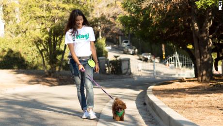 SoftBank-backed dog walking startup shuffles its CEO