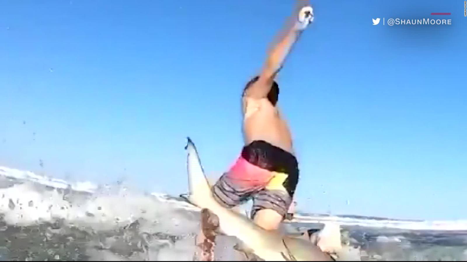 Shark Knocks 7 Year Old Florida Boy Off His Surfboard Cnn