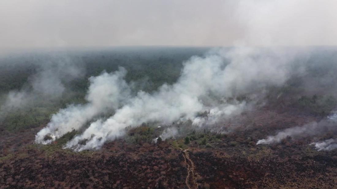 Borneo Is Burning: Watch The Full Cnn Documentary - Cnn Video