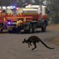 01 australia bushfires 1210