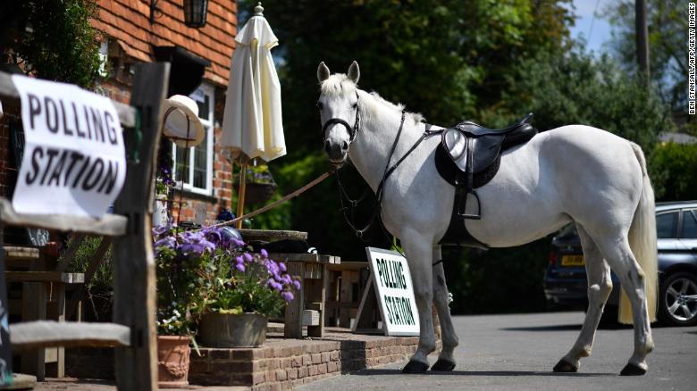 A horse tethered outside a polling station during this year's European elections.