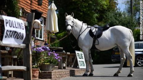 A horse tethered outside a polling station during this year&#39;s European elections.