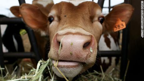 There&#39;s no evidence full-fat dairy is bad for kids, study says