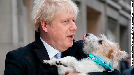 &quot;He has a history of doing what is best for Boris,&quot; says one former Downing Street adviser who has worked with Johnson, pictured here with his dog Dilyn in December 2019.