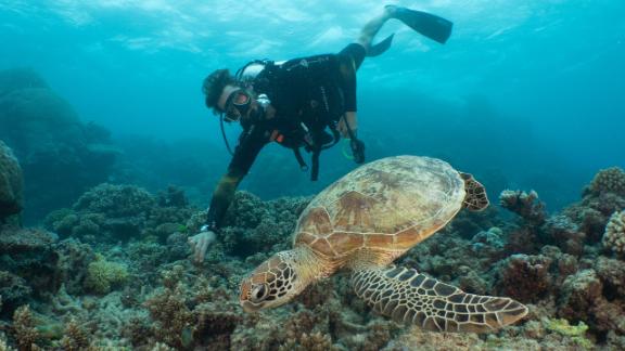 The man behind Earth Hour wants you to photograph the Great Barrier ...