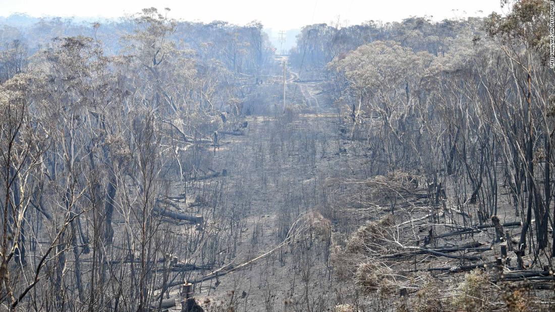A landscape of burnt trees is pictured after a bushfire at Mount Weison, in the Blue Mountains, on Wednesday, December 18.