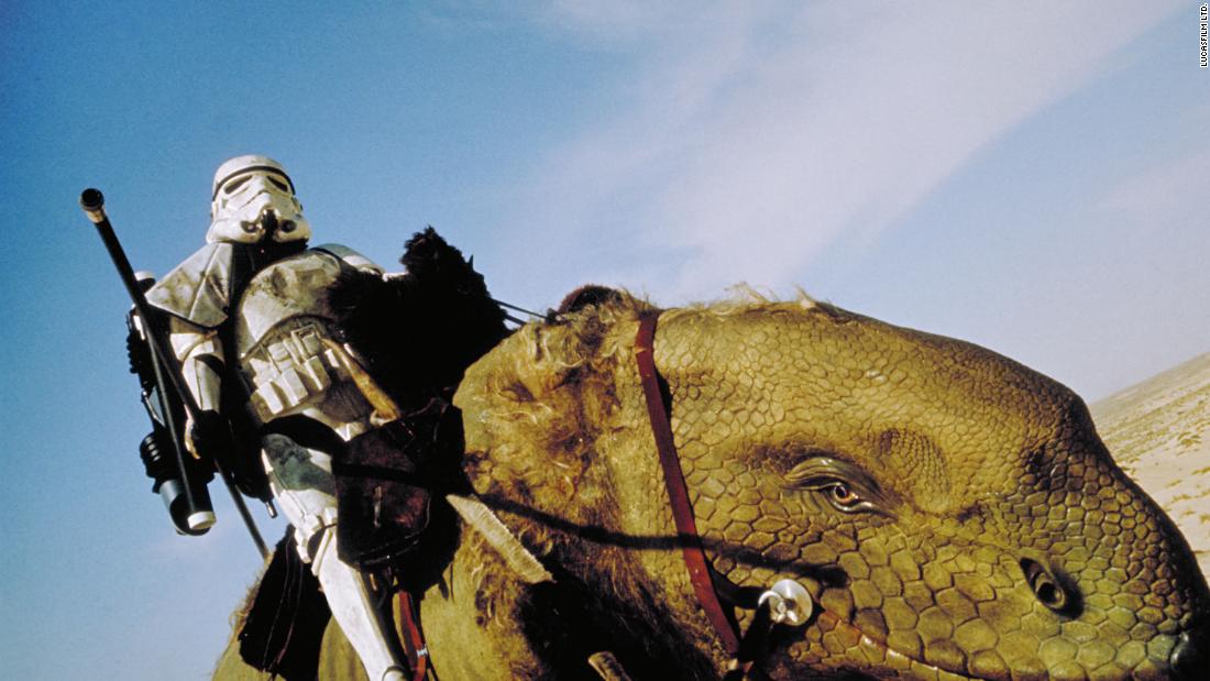 Dewbacks are similarly used as beasts of burden by sandtroopers on desert planets and can be seen in &quot;A New Hope,&quot; along with other films in the series. The first dewback design used the body of a stuffed rhinoceros, fitted with a reptilian head and tail.