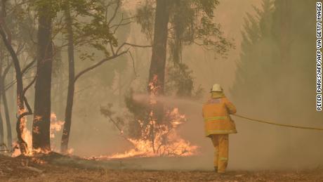 New South Wales declares state of emergency as Australia bushfires rage