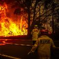 01 australia bushfire 1219