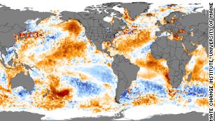 Massive ocean hot spot off New Zealand's coast is the size of Texas ...