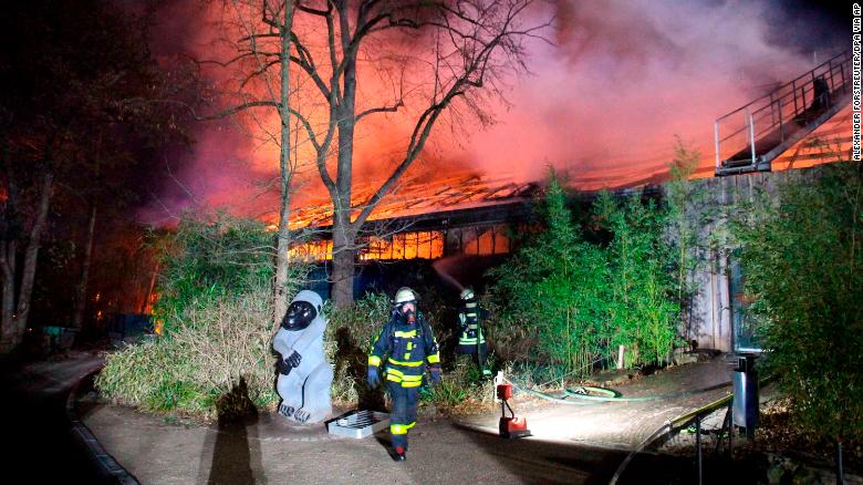 Fire at German zoo kills at least 30 animals 