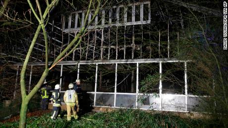 Firefighters examine the enclosure at Krefeld Zoo, following a blaze that left scores of animals dead.
