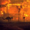 10 australia fires 1231 RESTRICTED