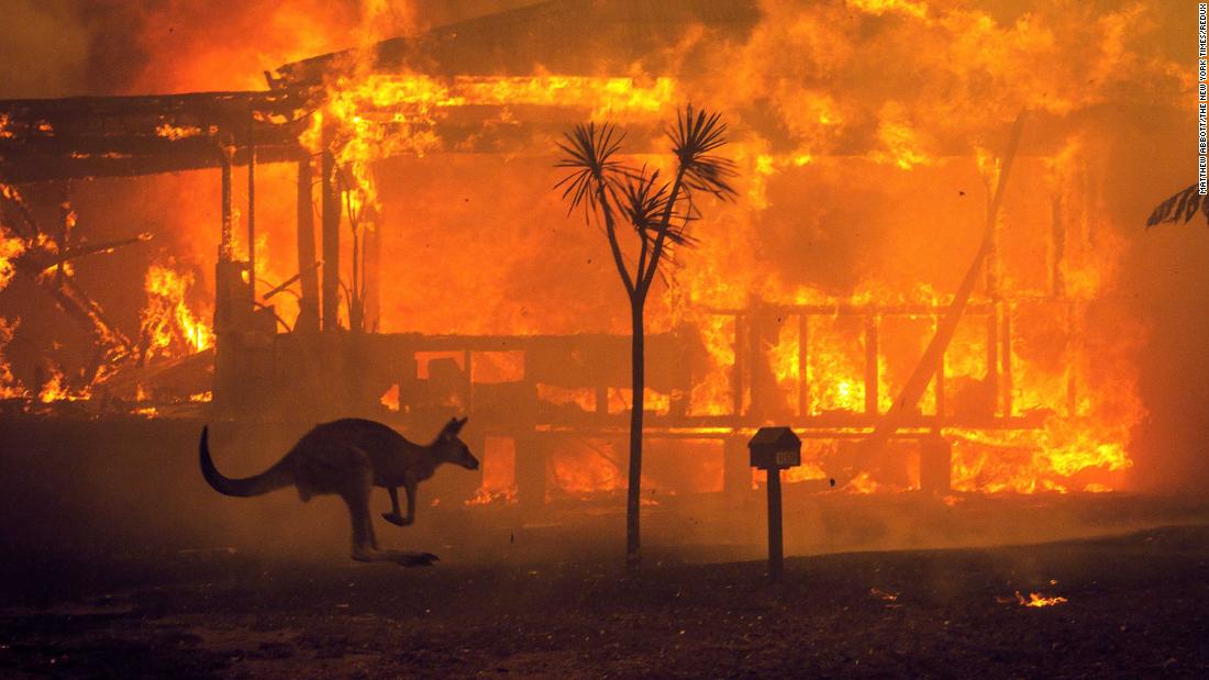 A kangaroo rushes past a burning house in Lake Conjola, Australia, on December 31.