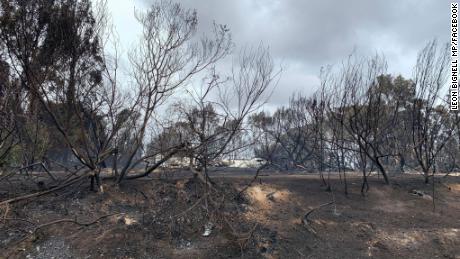 &#39;Some images from today&#39;s drive around the Kangaroo Island fire ground with my friend and KI local Tony Nolan,&#39; Leon Bignell wrote on Facebook
