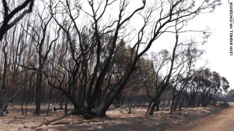 Here&#39;s just how bad the devastating Australian fires are -- by the numbers