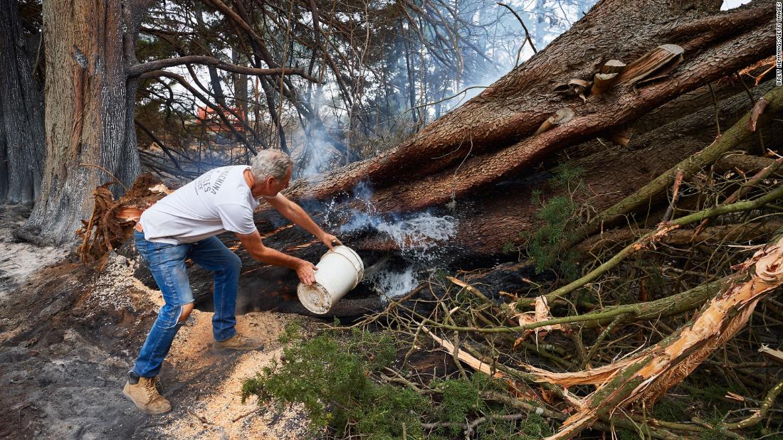 A resident throws a bucket of water onto a smoldering tree on his property on Monday, January 6, in Wingello, Australia. 