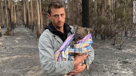 Jack Bruce holds Wilbur, a koala rescued from the fires, who he and his partner Alyex Burges are helping rehome. 