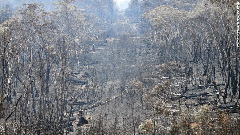 A view of the landscape after a bushfire on Mount Weison, 74 miles (120 km) northwest of Sydney.