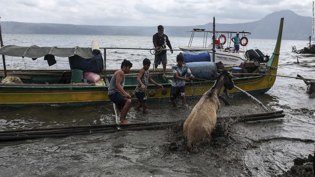 Volunteers save animals that were left behind in Batangas.