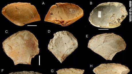 Neanderthals combed beaches and went diving for shells to use as tools, study says