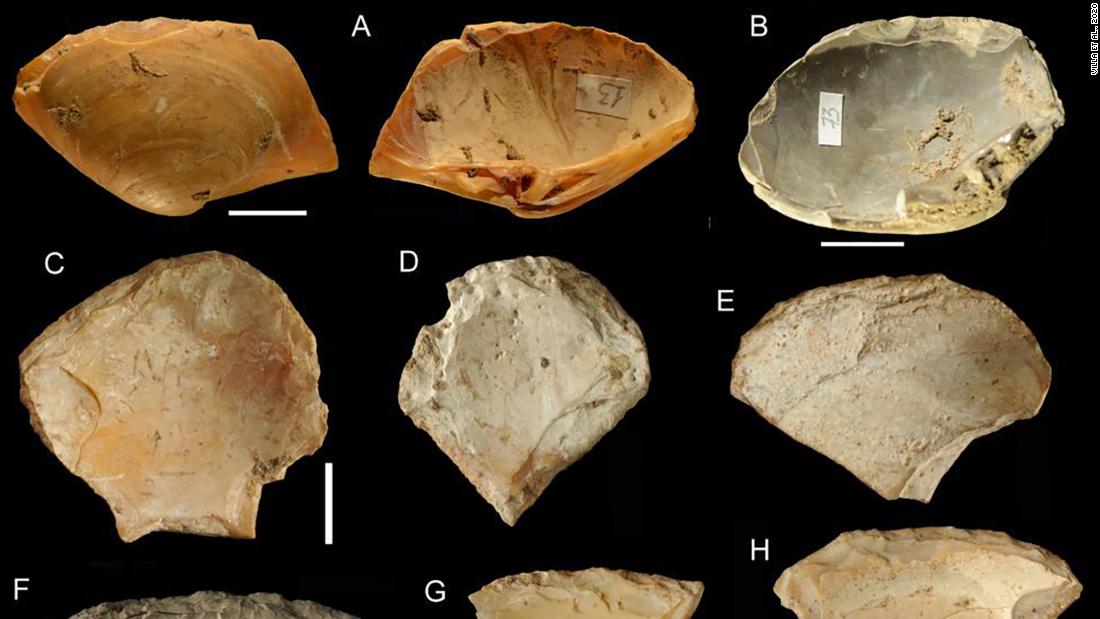 Shell tools were recovered from an Italian cave that show Neanderthals combed beaches and dove in the ocean to retrieve a specific type of clam shell to use as tools.
