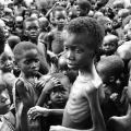 17 biafra nigeria civil war