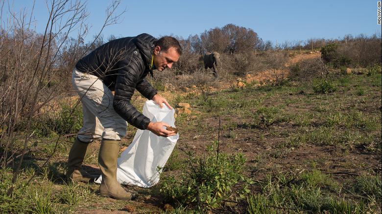 Les Ansley collects elephant dung in Botlierskop, a game reserve in South Africa.