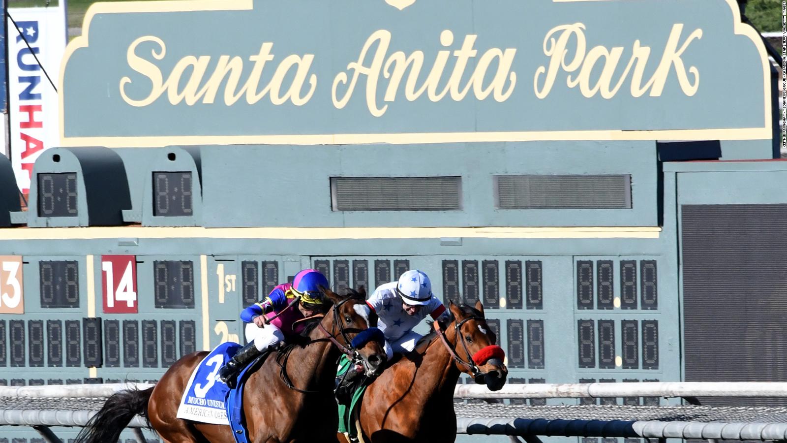 Another racehorse the fourth this year dies at Santa Anita racing