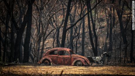 Bushfires have destroyed large areas of Australia in recent months.