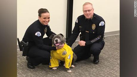custom police k9 stuffed animal