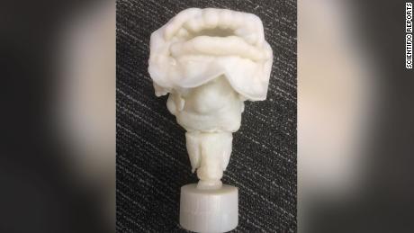 3-D printed vocal tract of Nesyamun