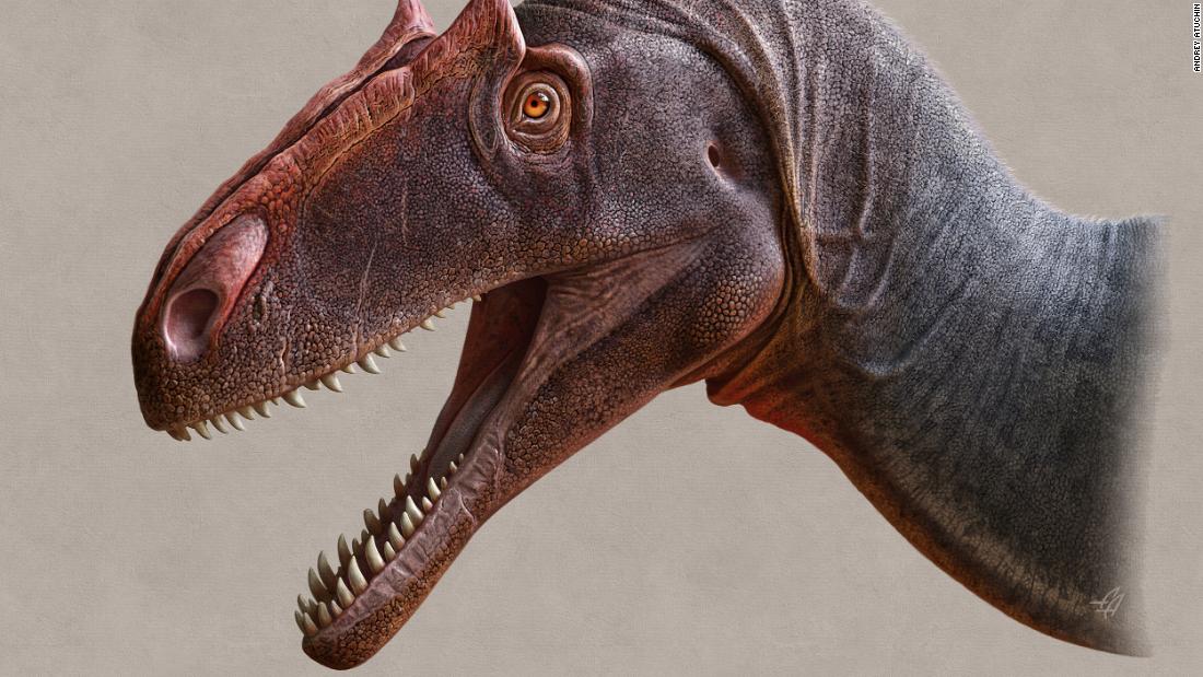 The newly discovered species Allosaurus jimmadseni represents the earliest Allosaurus known. It was a fearsome predator that lived during the Late Jurassic Period millions of years before Tyrannosaurus rex.