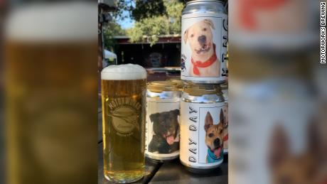 Adoptable Dog Cruiser Kölsch cans feature dogs up for adoption at a Florida shelter.