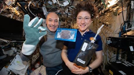 Fresh-baked chocolate chip cookies, another first in space 