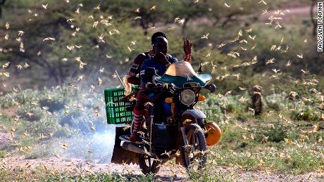 East Africa is suffering its worst invasion of desert locusts in 25 years