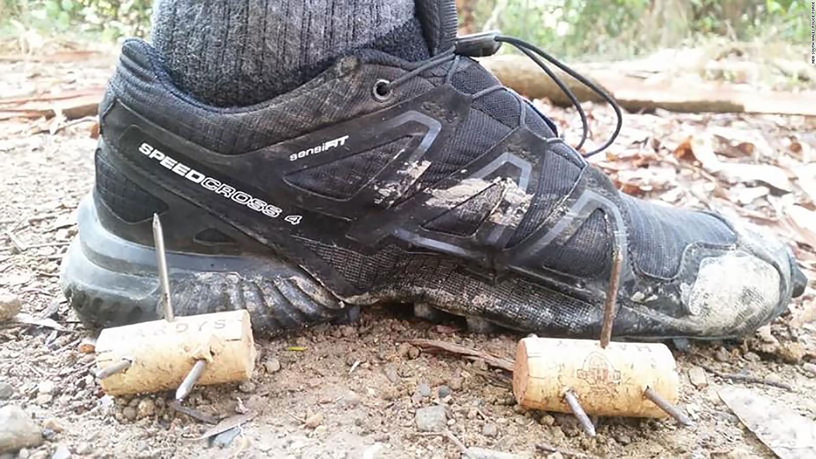 roadrunner track spikes