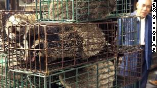 A man looks at caged civet cats in a wildlife market in Guangzhou, capital of south China&#39;s Guangdong Province in 2004. 