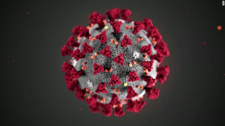 Afbeeldingsresultaat voor corona virus