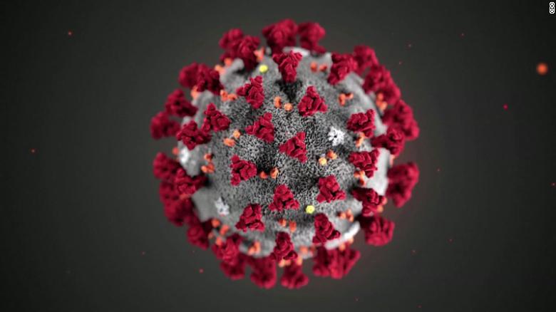 Resultado de imagem para imagem coronavirus