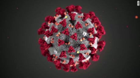 An  illustration of the coronavirus by Centers for Disease Control and Prevention. 