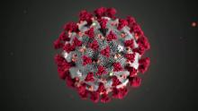 Diplomat at the UN tests positive for coronavirus 