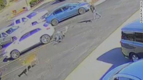 Surveillance video shows the moment a deer came out of nowhere and plowed over a man in the parking lot of a local McDonald&#39;s.