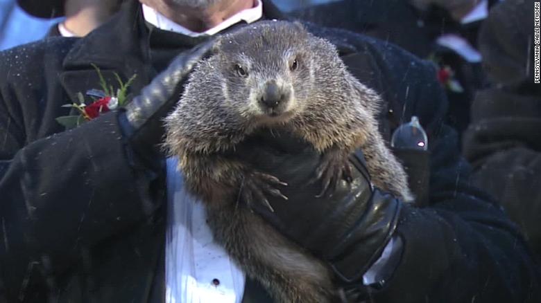 Punxsutawney Phil predicts an early Spring 