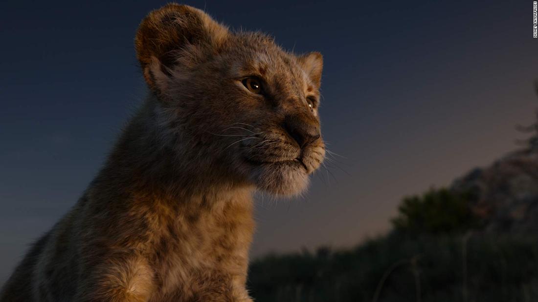 A school played 'The Lion King' at a fundraising event. Now it has to pay a third of what it raised