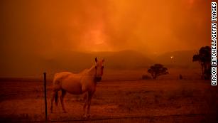 Australia&#39;s climate crisis has been building for years but no one listened
